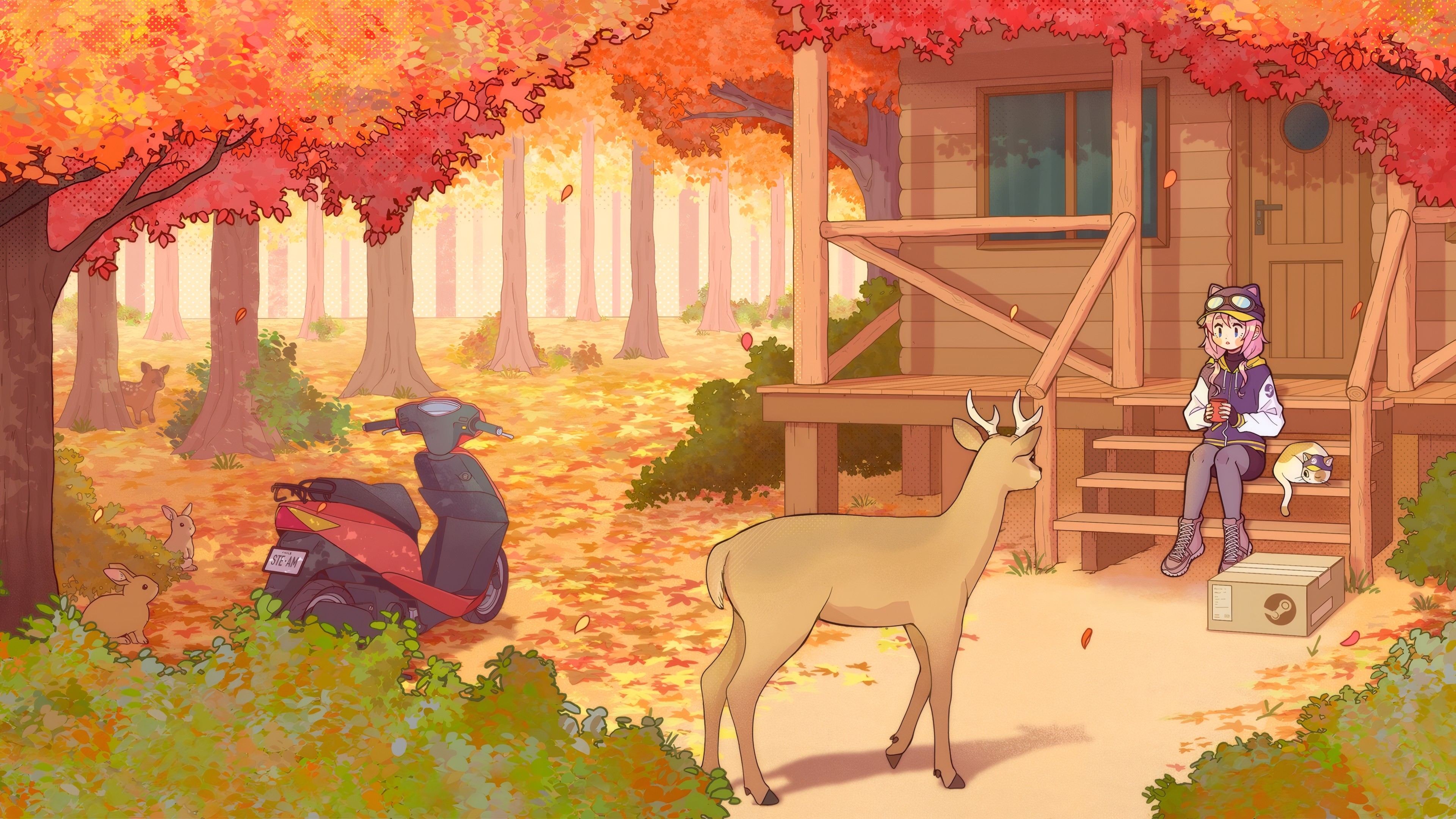 cabin
